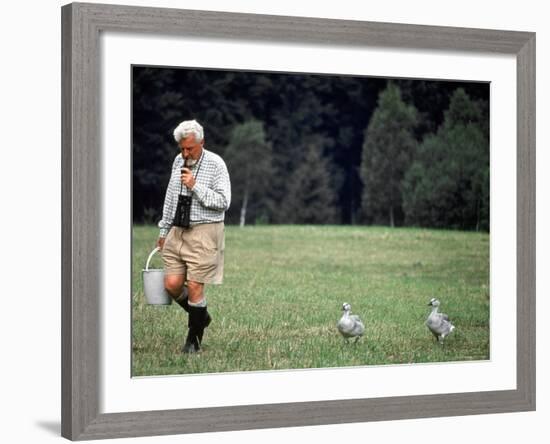 Grayleg Geese Follow Austrian Ethologist Konrad Lorenz who Taught them to Accept Him as its Mother-Nina Leen-Framed Premium Photographic Print