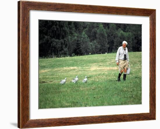 Grayleg Geese Follow Austrian Ethologist Konrad Lorenz who Taught them to Accept Him as its Mother-Nina Leen-Framed Premium Photographic Print