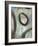 Grayson's Loops I-Wani Pasion-Framed Giclee Print