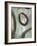 Grayson's Loops I-Wani Pasion-Framed Giclee Print