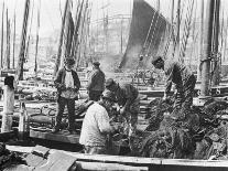 Fishermen Overhaul the Nets on Their Boats at Scarborough Yorkshire-Graystone Bird-Photographic Print