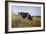 Grazing, 1884-Filippo Carcano-Framed Giclee Print