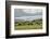 Grazing at the Glacier-Danny Head-Framed Photographic Print