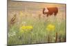 Grazing Cattle - Glance-Staffan Widstrand-Mounted Giclee Print