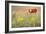 Grazing Cattle - Glance-Staffan Widstrand-Framed Giclee Print