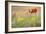 Grazing Cattle - Glance-Staffan Widstrand-Framed Giclee Print