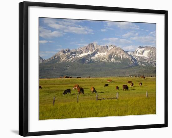Grazing Cattle, Sawtooth National Recreation Area, Idaho, USA-Jamie & Judy Wild-Framed Photographic Print