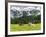 Grazing Cattle, Tyrol, Austria-Martin Zwick-Framed Photographic Print