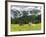 Grazing Cattle, Tyrol, Austria-Martin Zwick-Framed Photographic Print