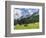 Grazing Cattle, Tyrol, Austria-Martin Zwick-Framed Photographic Print