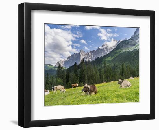 Grazing Cattle, Tyrol, Austria-Martin Zwick-Framed Photographic Print