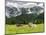 Grazing Cattle, Tyrol, Austria-Martin Zwick-Mounted Photographic Print