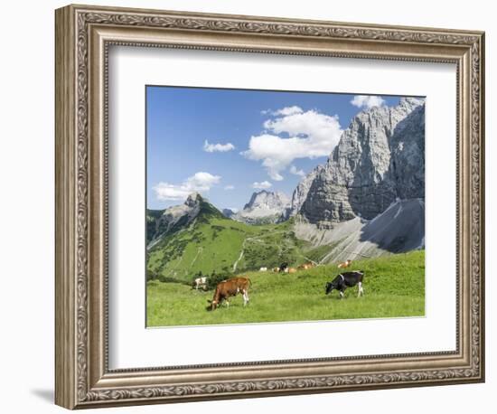 Grazing Cattle, Tyrol, Austria-Martin Zwick-Framed Photographic Print