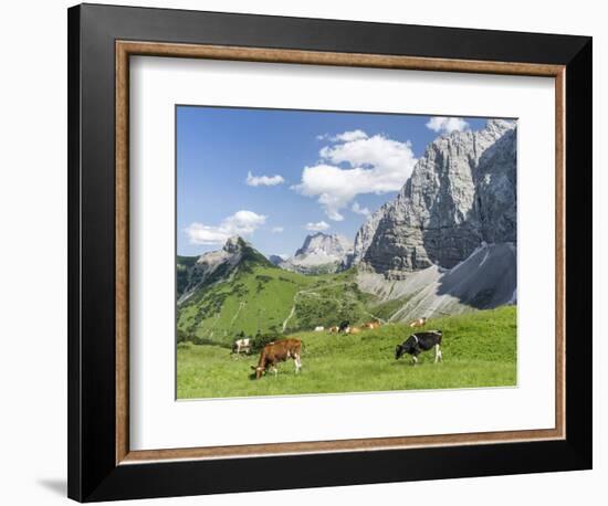 Grazing Cattle, Tyrol, Austria-Martin Zwick-Framed Photographic Print