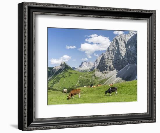 Grazing Cattle, Tyrol, Austria-Martin Zwick-Framed Photographic Print