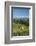 Grazing Cows, Emmental Valley and Swiss Alps in the Background, Berner Oberland, Switzerland-Jon Arnold-Framed Photographic Print