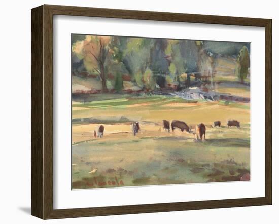 Grazing Cows Watercolor-Stephen Calcasola-Framed Art Print