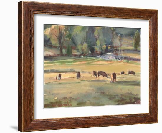 Grazing Cows Watercolor-Stephen Calcasola-Framed Art Print