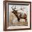 Grazing Elk-Donna Brooks-Framed Art Print