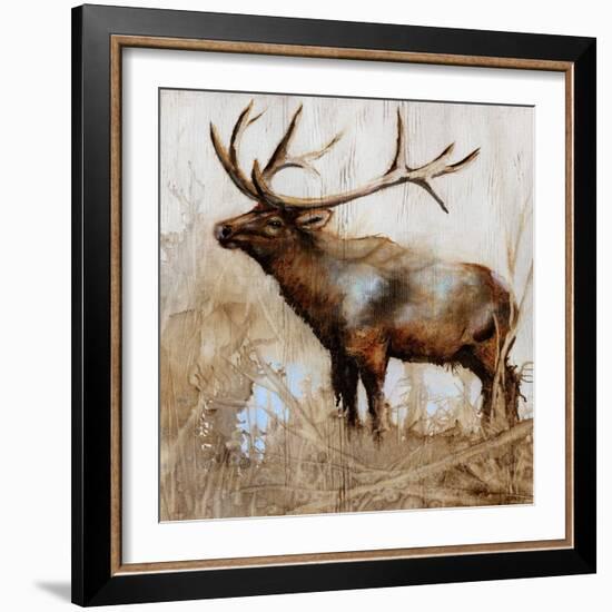 Grazing Elk-Donna Brooks-Framed Art Print