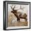 Grazing Elk-Donna Brooks-Framed Art Print