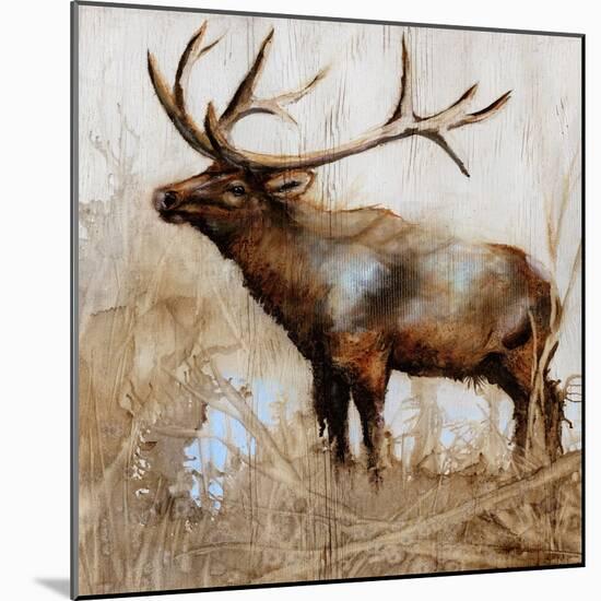 Grazing Elk-Donna Brooks-Mounted Art Print