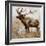 Grazing Elk-Donna Brooks-Framed Art Print