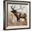 Grazing Elk-Donna Brooks-Framed Art Print