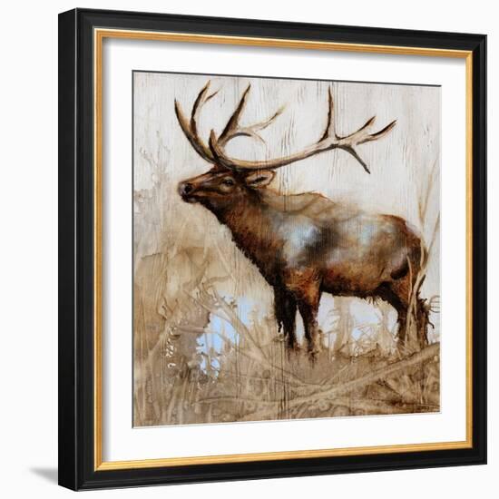 Grazing Elk-Donna Brooks-Framed Art Print