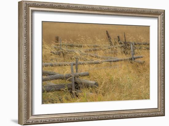 Grazing Fence-Dan Ballard-Framed Photographic Print