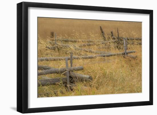 Grazing Fence-Dan Ballard-Framed Photographic Print