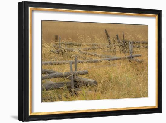 Grazing Fence-Dan Ballard-Framed Photographic Print