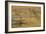 Grazing Fence-Dan Ballard-Framed Photographic Print