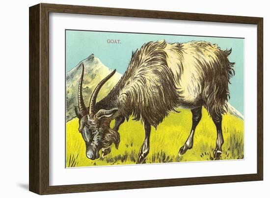 Grazing Goat-null-Framed Art Print