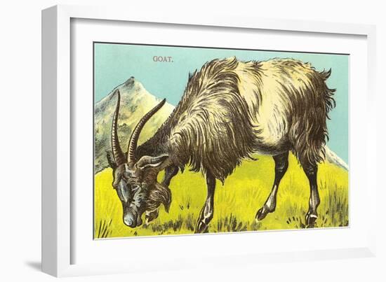 Grazing Goat-null-Framed Art Print