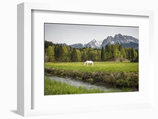 Grazing Horse in Pasture in Bavarian Alps with Snow-Sheila Haddad-Framed Photographic Print