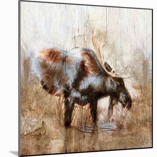 Grazing Moose-Donna Brooks-Mounted Art Print