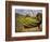 Grazing Sheep and Rainbow, 1989-Liz Wright-Framed Giclee Print