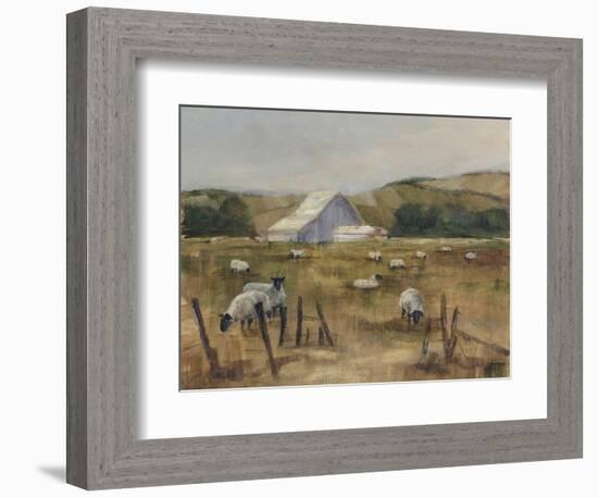 Grazing Sheep I-Ethan Harper-Framed Art Print