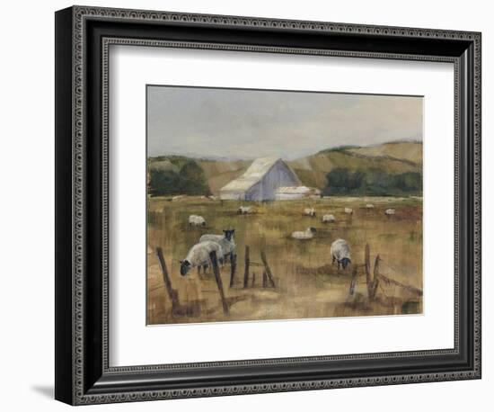 Grazing Sheep I-Ethan Harper-Framed Art Print