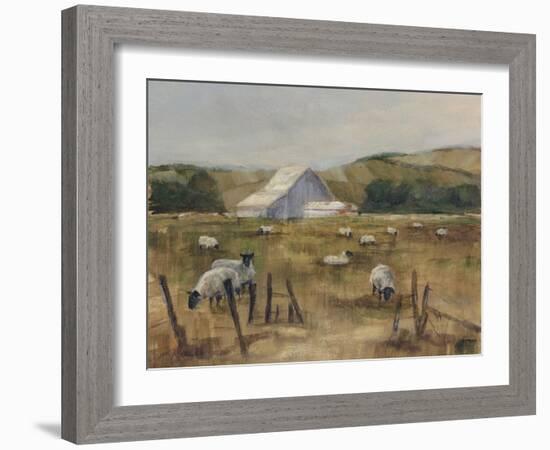 Grazing Sheep I-Ethan Harper-Framed Art Print