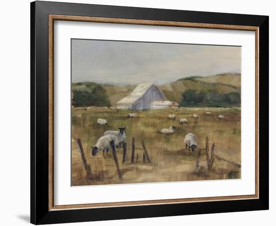 Grazing Sheep I-Ethan Harper-Framed Art Print