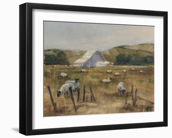 Grazing Sheep I-Ethan Harper-Framed Art Print