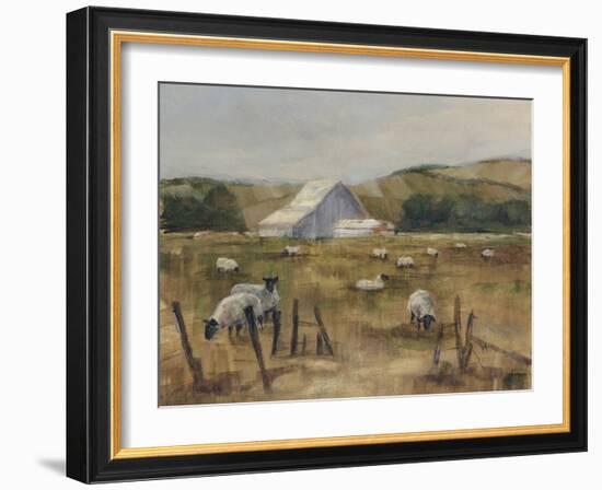 Grazing Sheep I-Ethan Harper-Framed Art Print