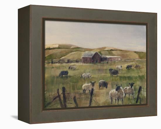 Grazing Sheep II-Ethan Harper-Framed Stretched Canvas