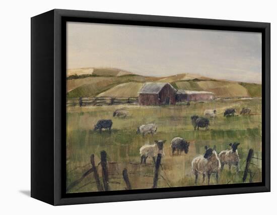 Grazing Sheep II-Ethan Harper-Framed Stretched Canvas