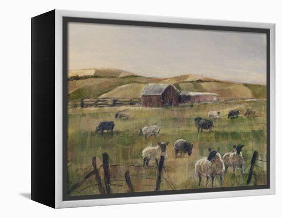 Grazing Sheep II-Ethan Harper-Framed Stretched Canvas