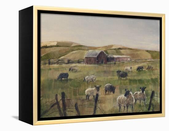 Grazing Sheep II-Ethan Harper-Framed Stretched Canvas