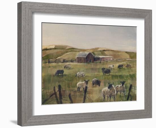 Grazing Sheep II-Ethan Harper-Framed Art Print