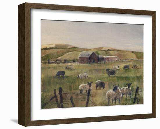 Grazing Sheep II-Ethan Harper-Framed Art Print